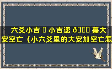 六爻小吉 ☘ 小吉速 🐝 嘉大安空亡（小六爻里的大安加空亡怎么加）